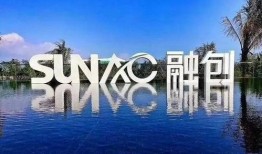 融创重组爆料了吗最新消息,揭秘爆料背后的真相与进展”